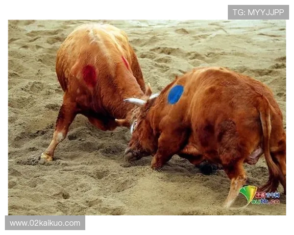 比亚韦斯托克年度之战警示录启